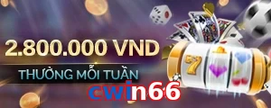 cwin66