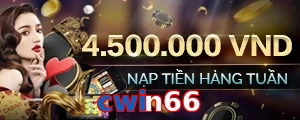 cwin66