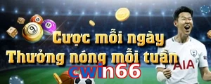 cwin66